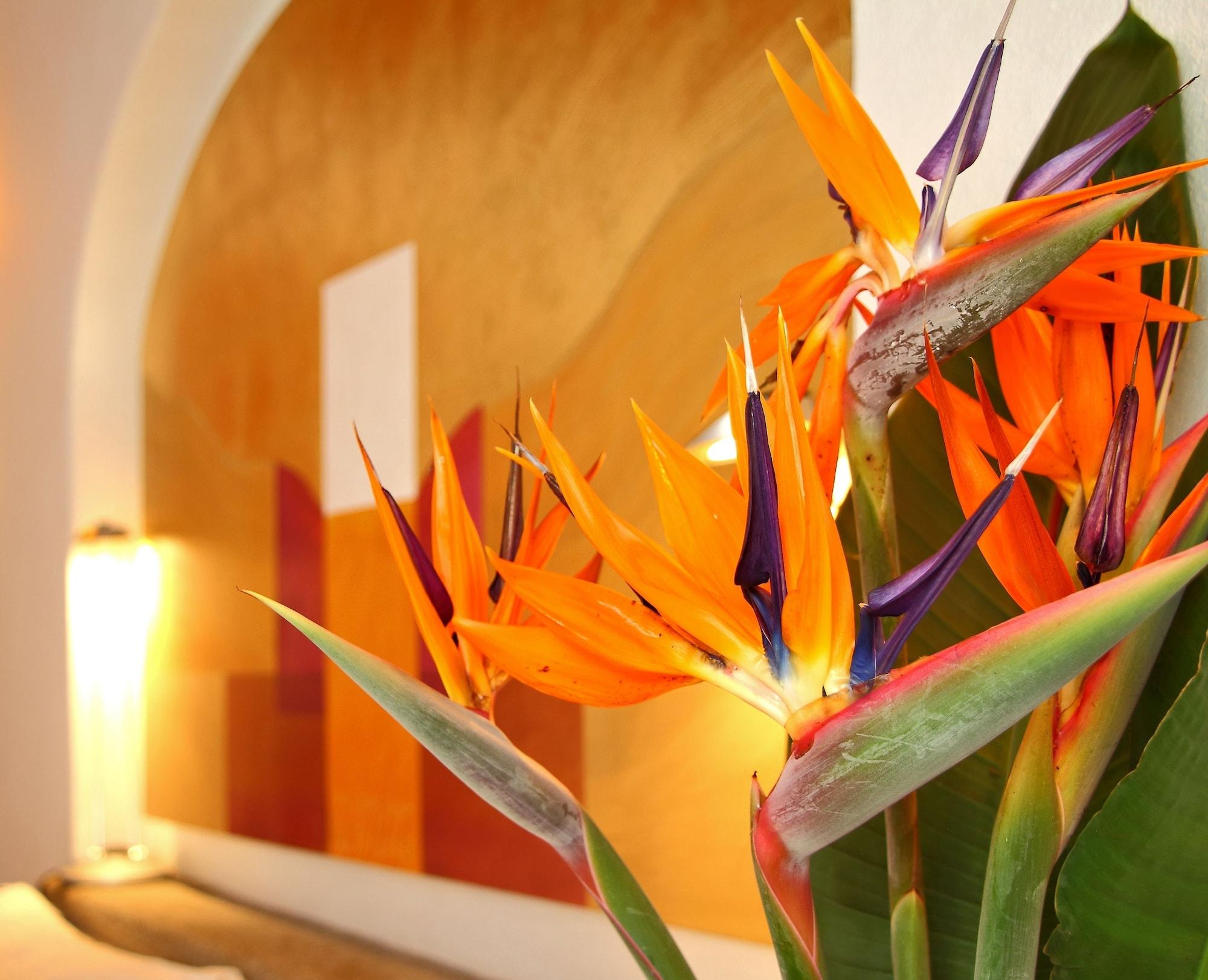 Posada Del Tepozteco - Hotel & Gallery Тепоцтлан Екстериор снимка